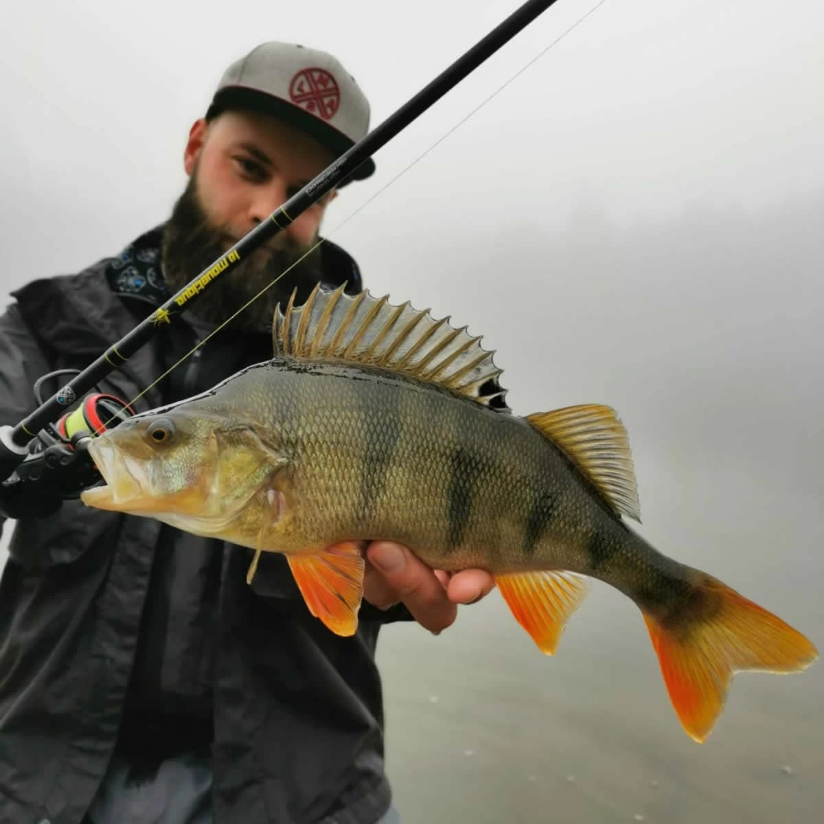 Canne Spinning LMAB La Moustique 198L 2-10g – Image 2