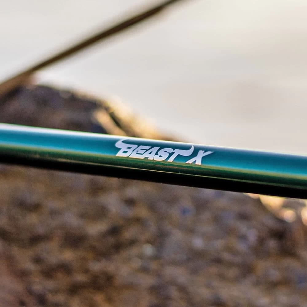 Ensemble Casting Abu Garcia Beast X Pike 842 XXH 50-220g + Revo Beast X LH – Image 6
