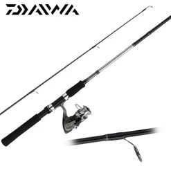 Ensemble Spinning Daiwa Sweepfire 20-40g + DF 2500
