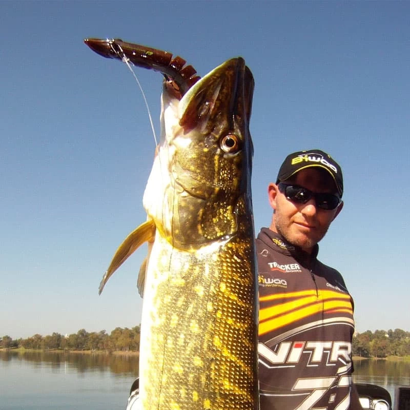 Leurre Swimpike Biwaa 240mm 75g – Image 3