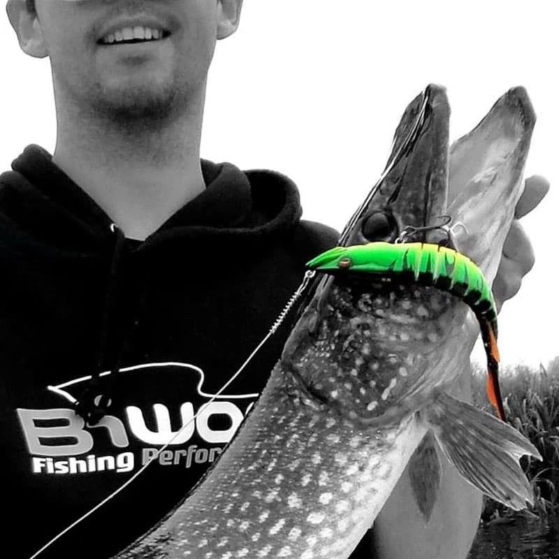 Leurre Swimpike Biwaa 240mm 75g – Image 4