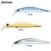 Leurre Artist FR105 Jackson 10,5cm
