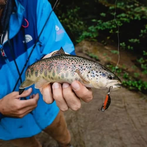 Leurre Phoxy Minnow Sakura HW 62 S 62mm 6.5g – Image 3