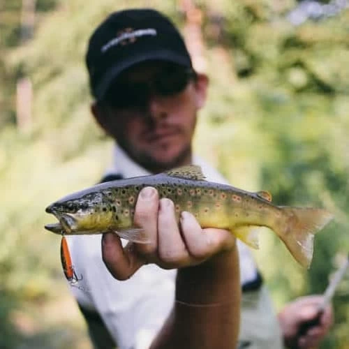 Leurre Phoxy Minnow Sakura HW 62 S 62mm 6.5g – Image 7