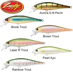 Leurre Lucky Craft Pointer 65 - 6,5cm