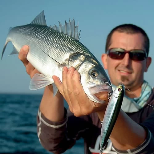 Leurre Naja Sakura 105 F 105mm 16.3g – Image 3