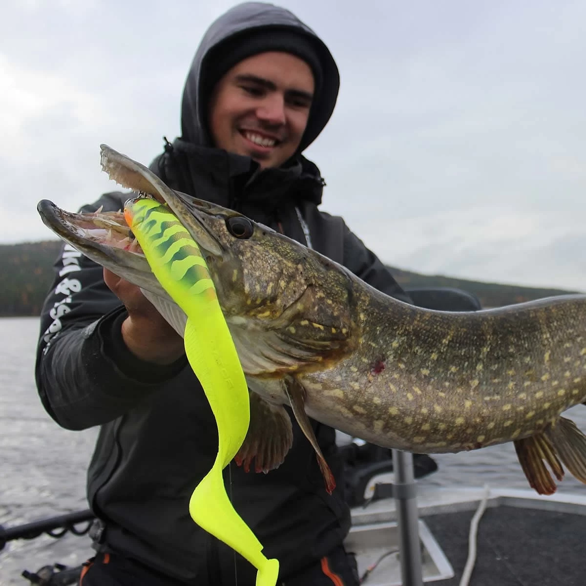 Leurre Gator Catfish 35cm – Image 4