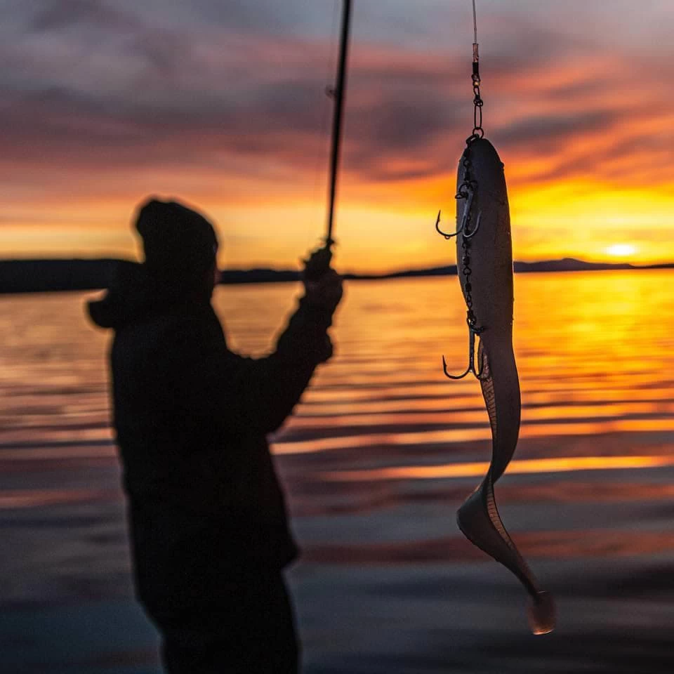 Leurre Gator Catfish 35cm – Image 5