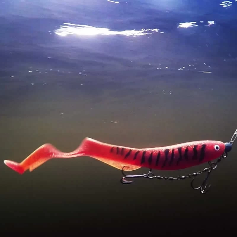 Leurre Gator Catfish 35cm – Image 6