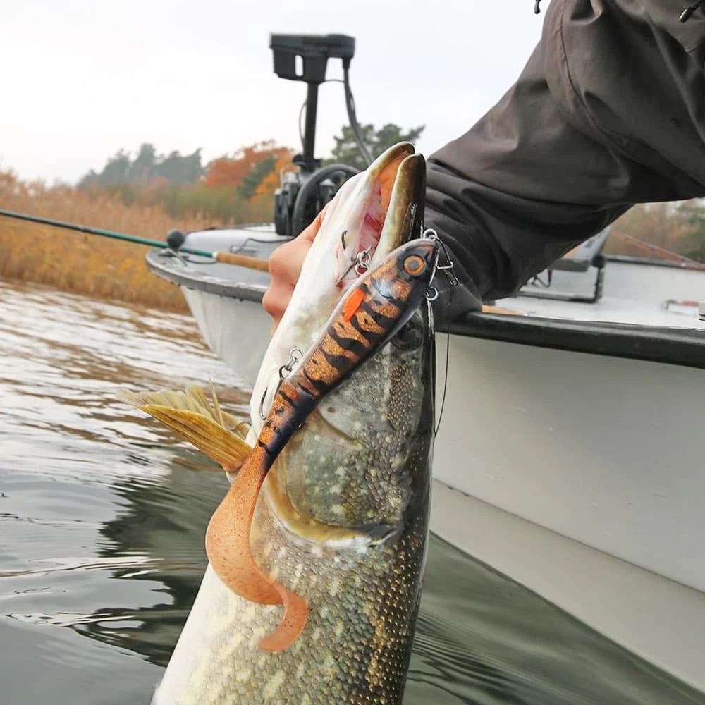 Leurre Svartzonker McHybrid 165 Abu Garcia 16,5cm – Image 6