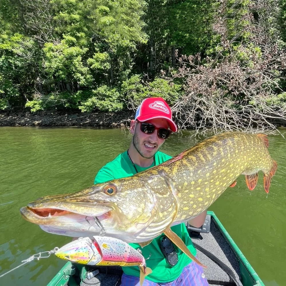 Leurre Zilla Swimmer 190 Berkley – Image 3