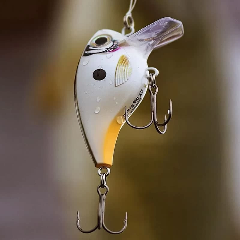 Leurre Bx Brat Rapala Mid 05 6cm – Image 9