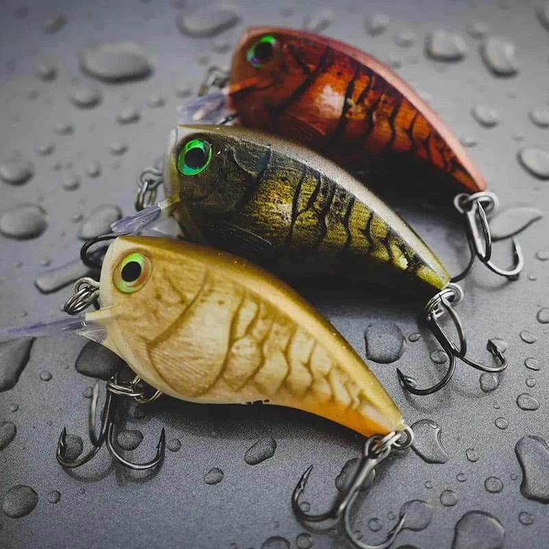 Leurre Bx Brat Rapala Mid 05 6cm – Image 11