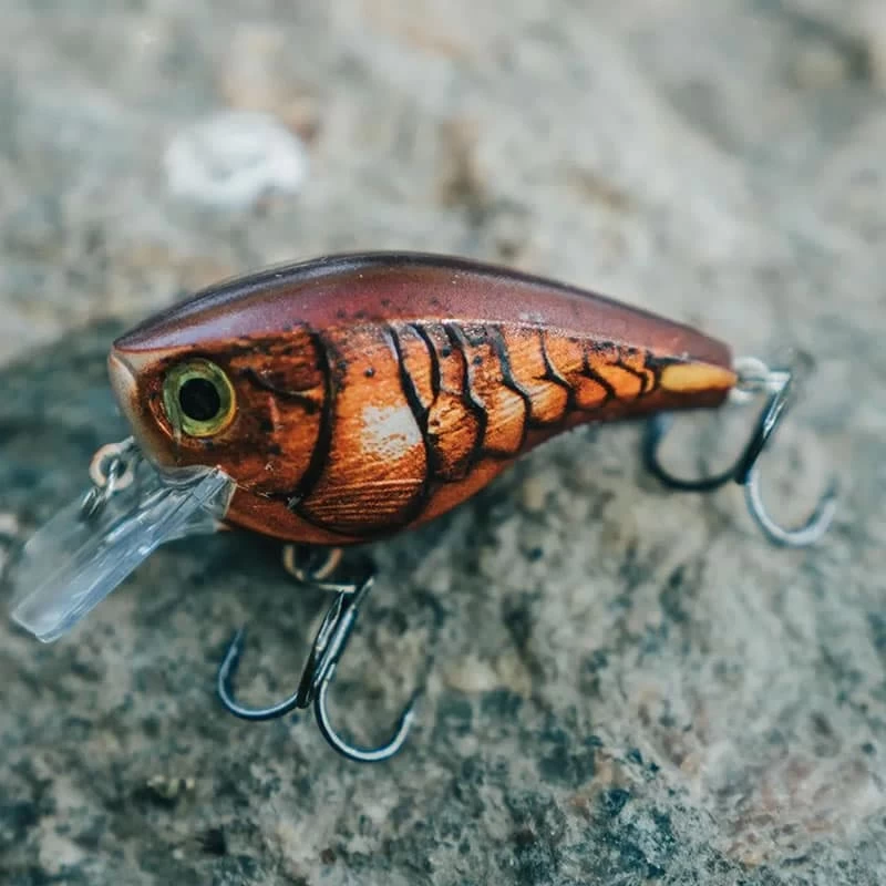 Leurre Bx Brat Rapala Mid 05 6cm – Image 13