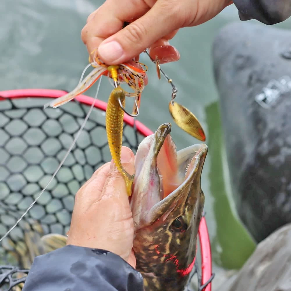 Leurre DEX Spinnerbait Tungsten 14g Berkley â Image 3