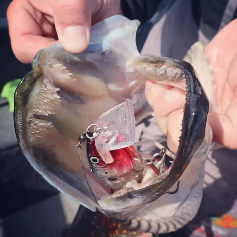 Leurre Super Shad Rap Rapala SSR14 14cm 45g – Image 5