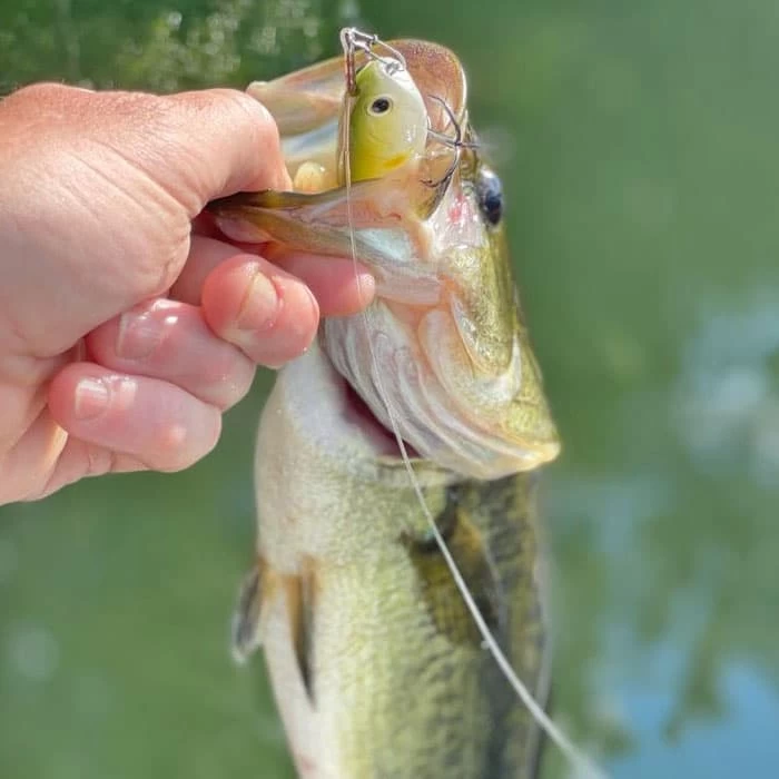 Leurre Lucky Craft Sammy 100 - 9,85cm â Image 3