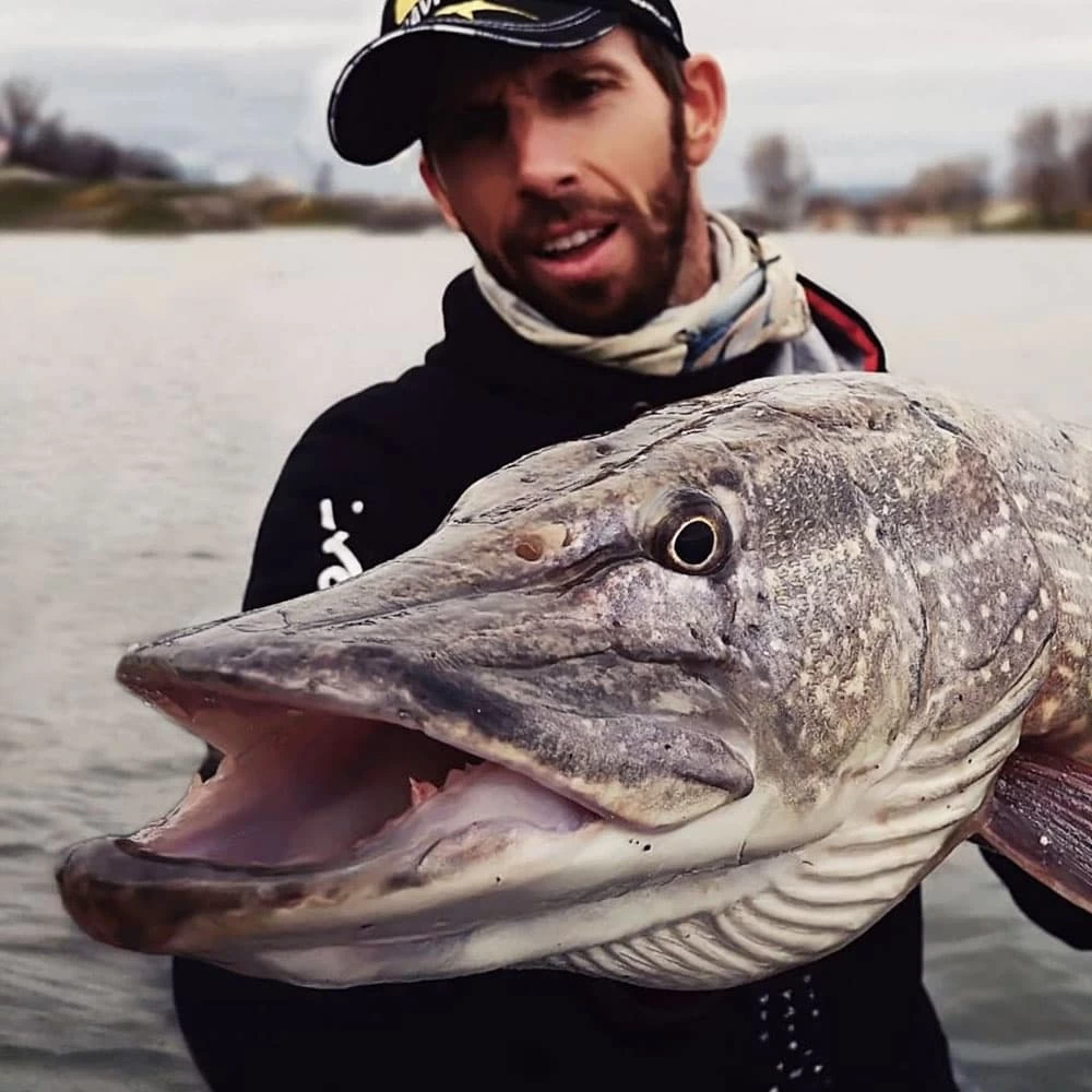 Leurre Svartzonker McPike 18cm Abu Garcia – Image 5