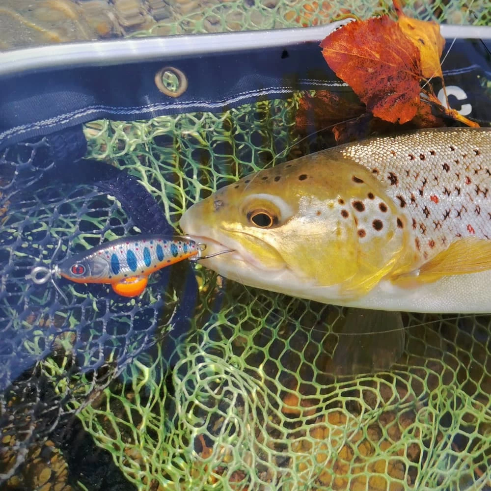 Leurre Sakura Phoxy Spybait 35 S 35mm 4.4g – Image 8