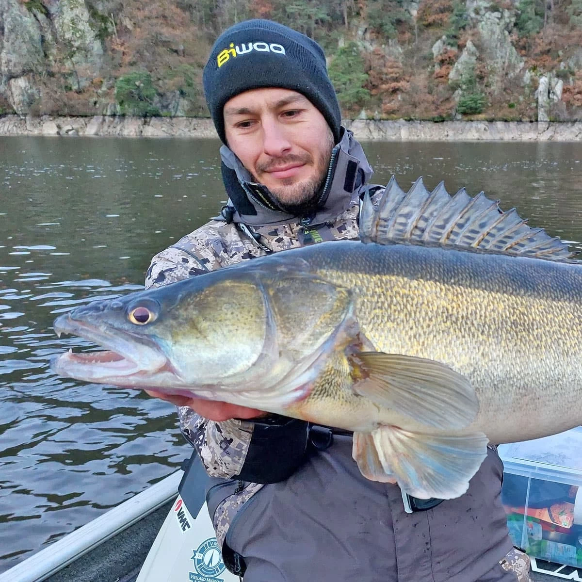 Leurre Divinator Medium Biwaa 18cm – Image 3