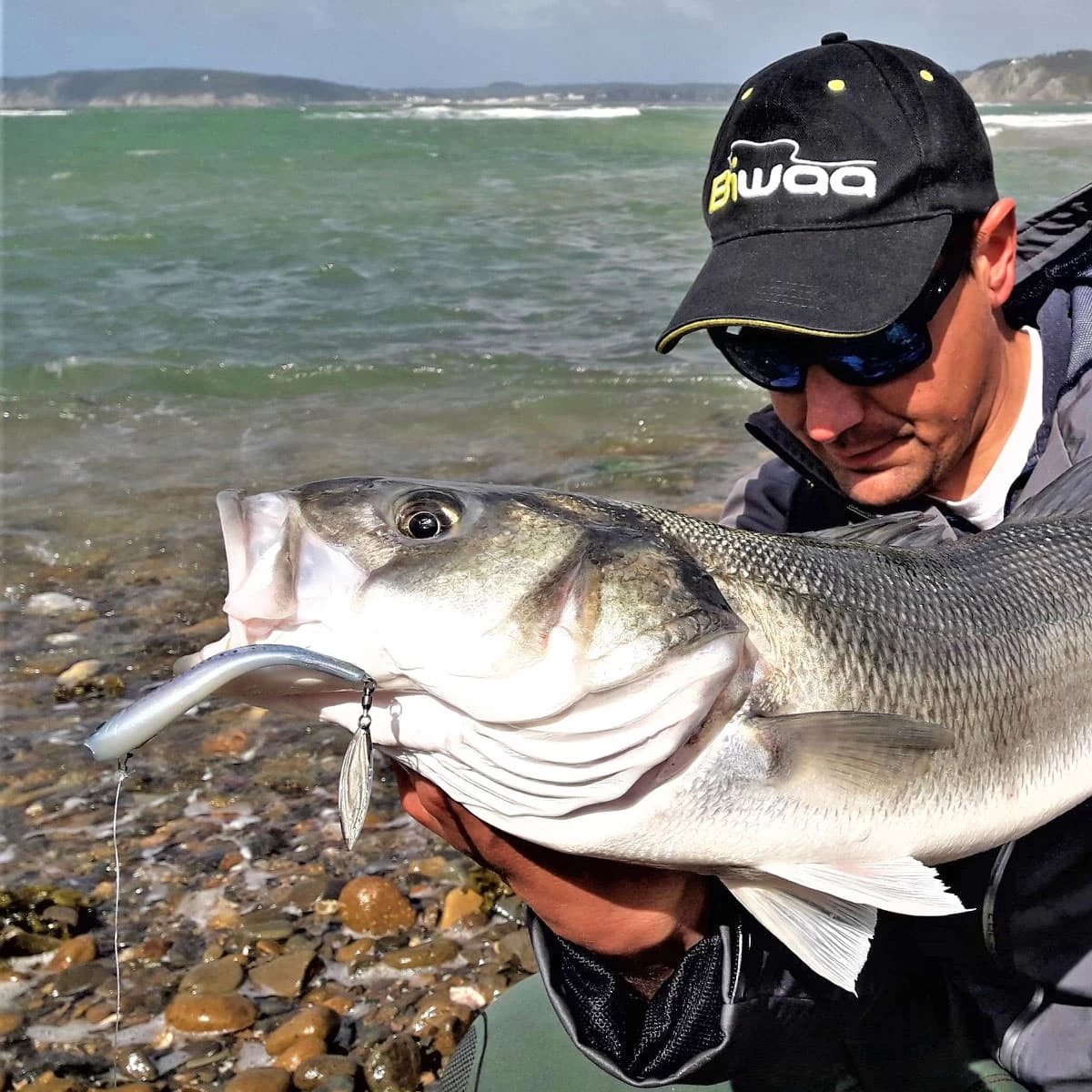 Leurre Divinator Medium Biwaa 18cm – Image 4