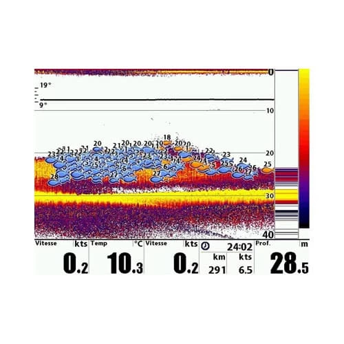 Sondeur Humminbird Piranha Max 4 Sonde TA 200/455kHz – Image 6