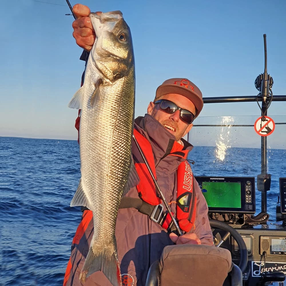 Canne Spinning Sakura Iconic RS ICRSS 742 M+ Banshee 2.25m 7-30g – Image 7