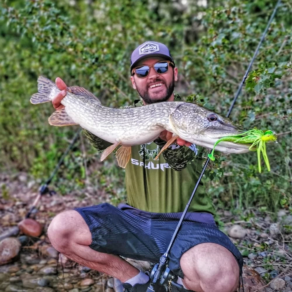 Canne Casting Sakura Iconic RS ICRSC 762 XXH Monster Punisher 2.28m 40-200g – Image 6